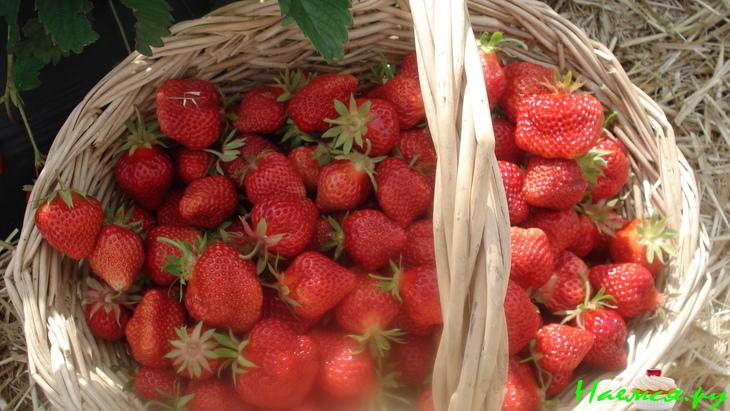 Клубничное варенье "Русская утеха"