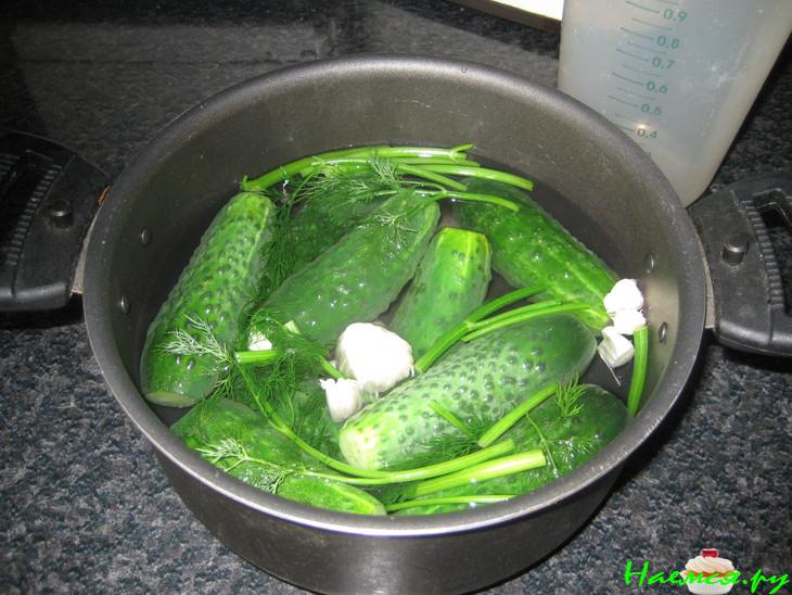 Малосольные огурчики с чесноком