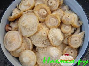 Грузди солёные. Простым древним способом