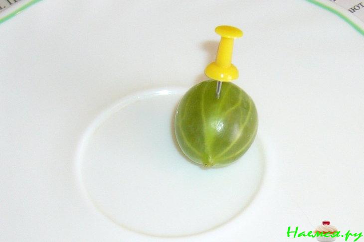 Варенье из зеленого крыжовника Варенье из зеленого крыжовника