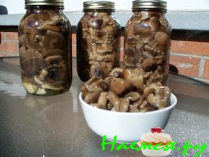 Грибы маринованные пряные