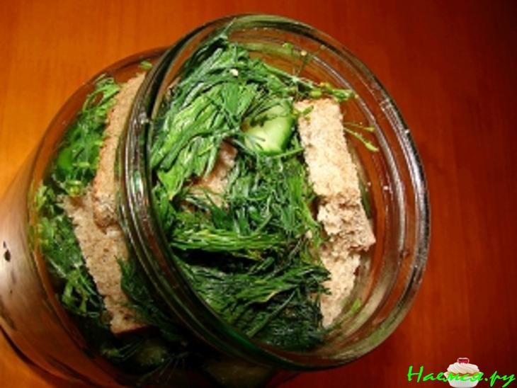 Огурцы солёные быстрые (с ржаным хлебом) Огурцы солёные быстрые (с ржаным хлебом)