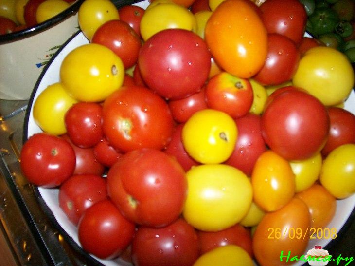 Помидоры в желе (консервация)