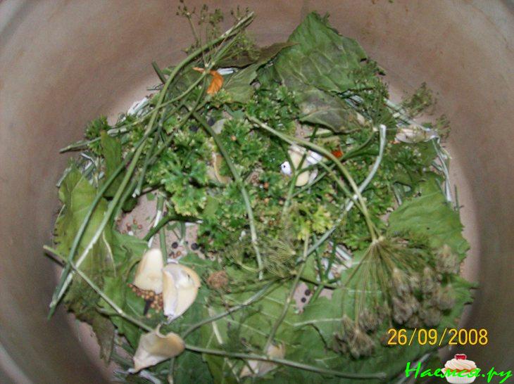 Помидоры соленые разные: зеленые, бурые, красные