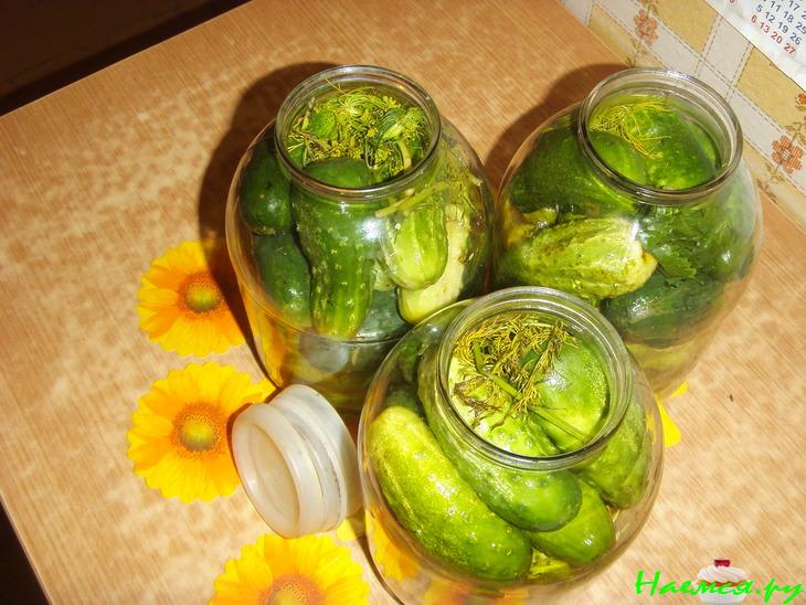 Огурцы соленые "Проще простого" (вариант)