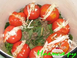 Соленые фаршированные помидоры