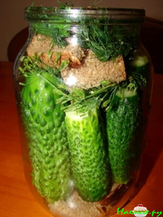 Огурцы солёные быстрые (с ржаным хлебом) Огурцы солёные быстрые (с ржаным хлебом)