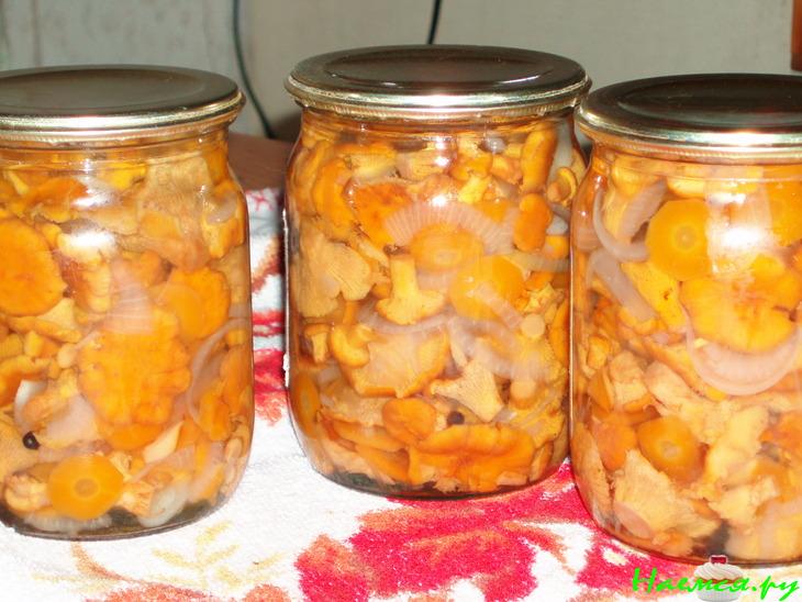 Лисички маринованные