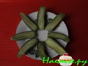 Малосольные огурчики с хреном Малосольные огурчики с хреном