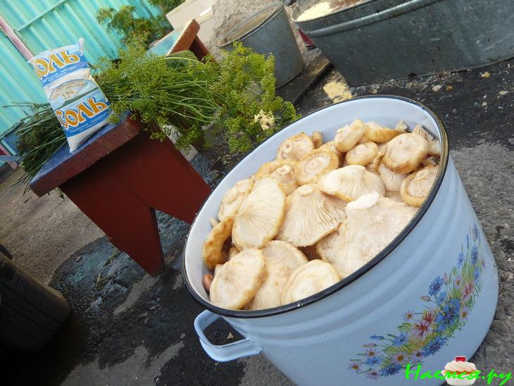 Грузди солёные. Простым древним способом Грузди солёные. Простым древним способом