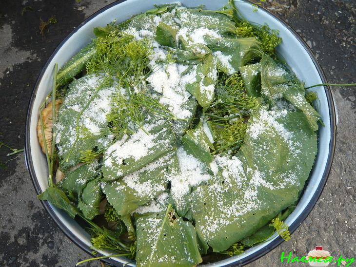 Грузди солёные. Простым древним способом Грузди солёные. Простым древним способом