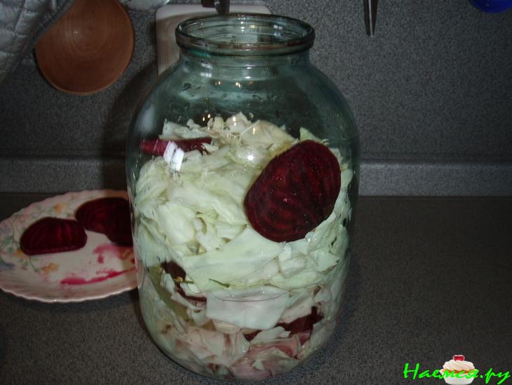 Славная капустка за 5 дней!