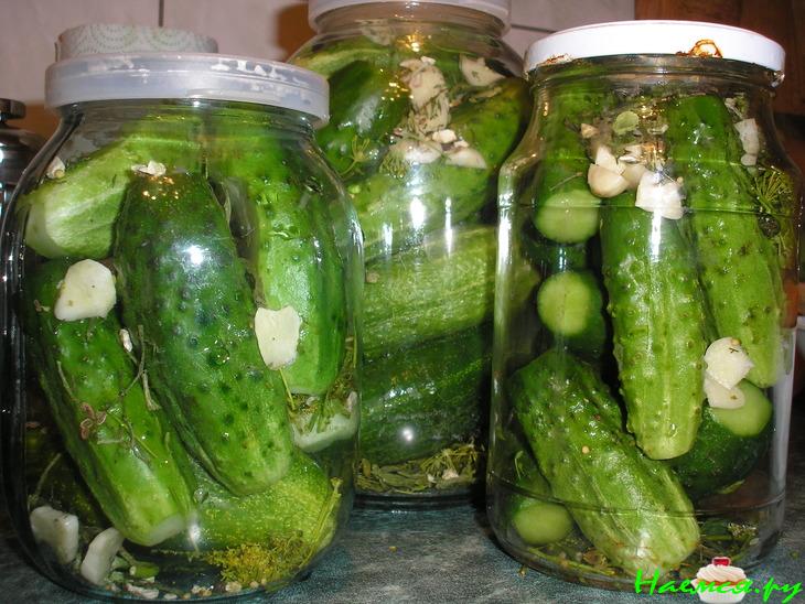 Солёные огурцы в банках