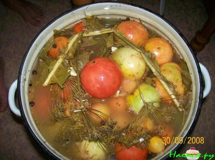 Помидоры соленые разные: зеленые, бурые, красные