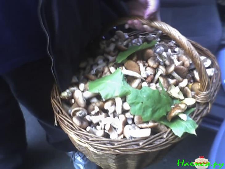 Грибы маринованные пряные