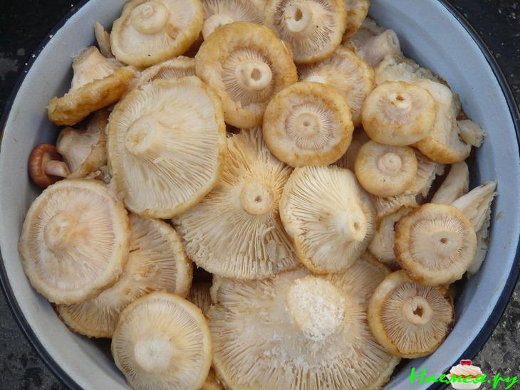 Грузди солёные. Простым древним способом Грузди солёные. Простым древним способом