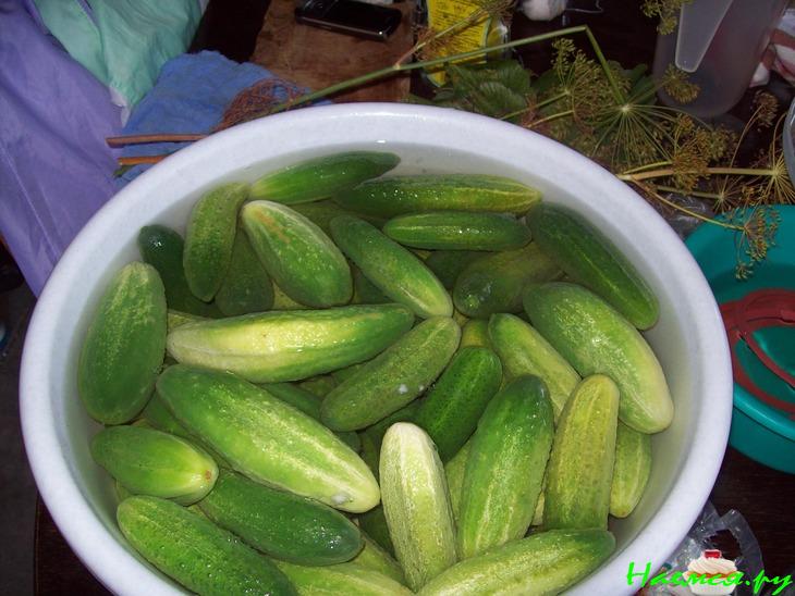 Вкусные солёные огурчики