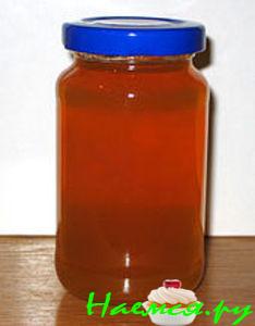 Яблочное желе с цветами бузины (очень простой рецепт)