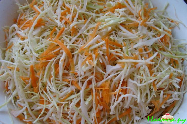 Капуста "Быстрая" Капуста "Быстрая"