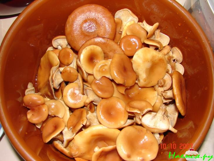 Маринованные опята