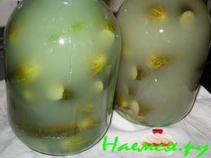 Огурцы соленые консервированные Огурцы соленые консервированные