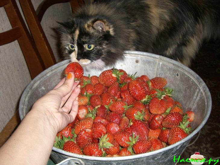 Клубничное варенье с орехами и семечками!