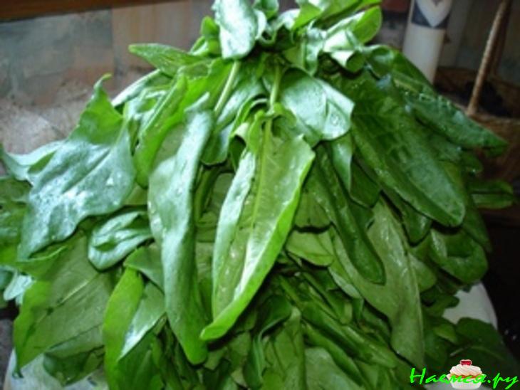 Щавель на зиму