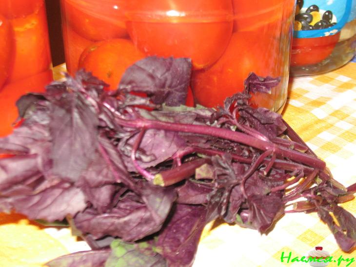 Помидоры с базиликом