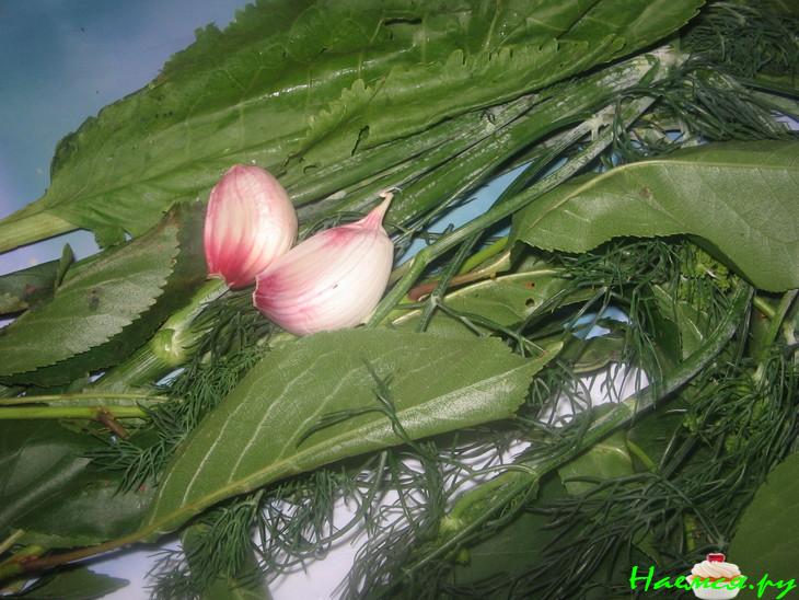 Кабачки маринованные по-болгарски