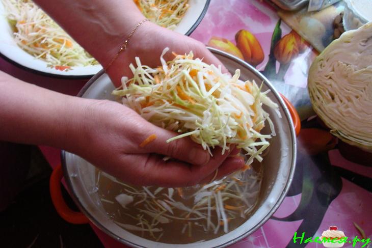 Капуста "Быстрая" Капуста "Быстрая"