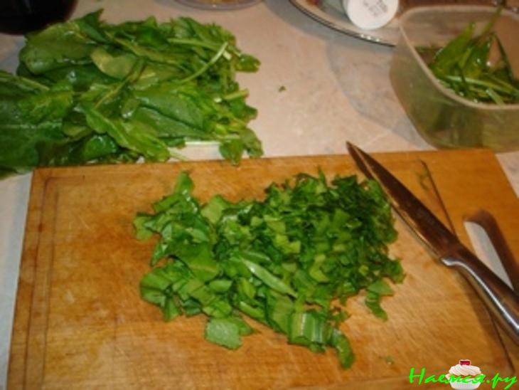 Щавель на зиму