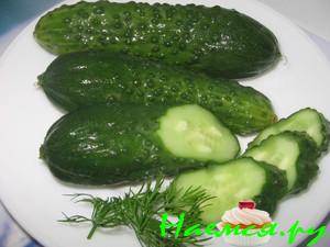 Малосольные огурчики быстрые