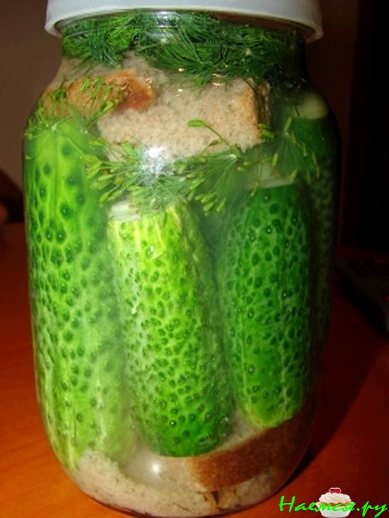 Огурцы солёные быстрые (с ржаным хлебом) Огурцы солёные быстрые (с ржаным хлебом)