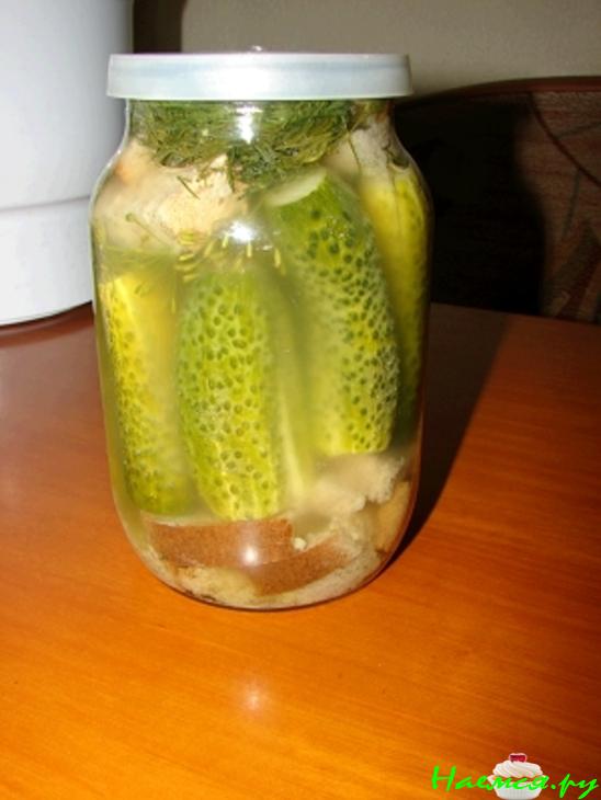 Огурцы солёные быстрые (с ржаным хлебом) Огурцы солёные быстрые (с ржаным хлебом)