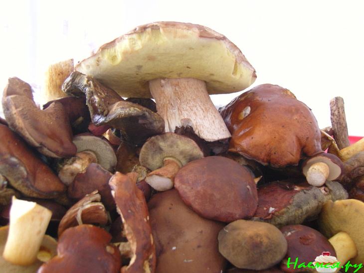 Грибы маринованные с чесноком