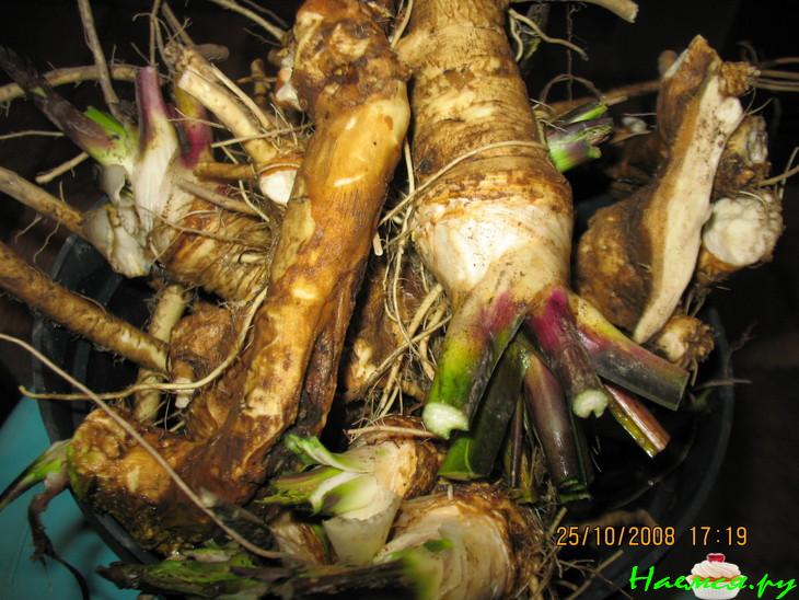 Русский хрен по-домашнему