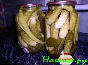 Консервируем огурцы