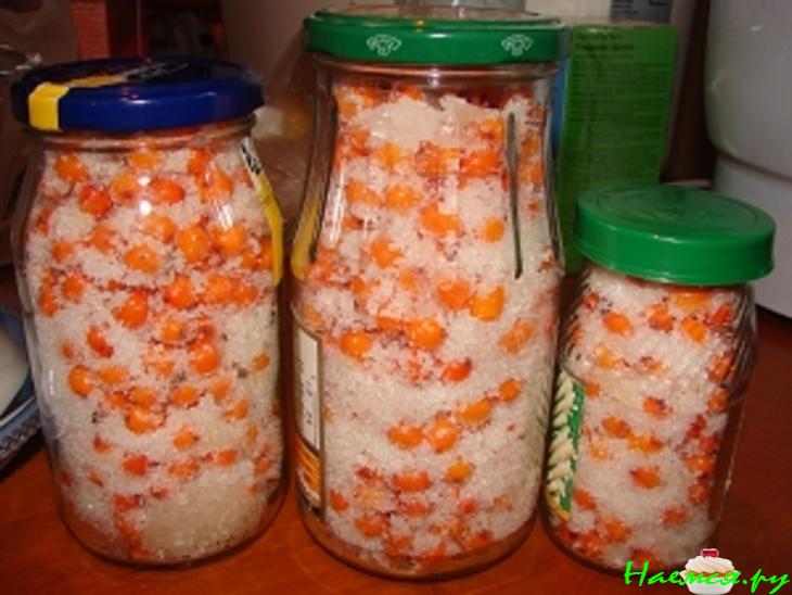 Витамины на зиму (облепиха и клюква) Витамины на зиму (облепиха и клюква)