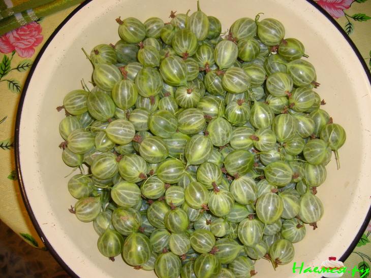 Варенье из зеленого крыжовника Варенье из зеленого крыжовника