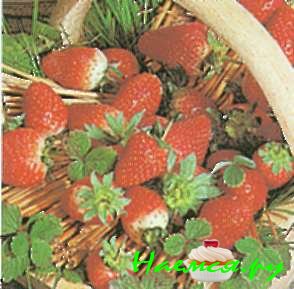 Клубничное варенье (4 банки)