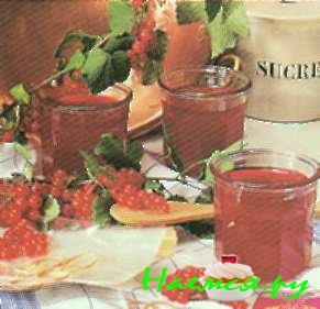 Желе из черной смородины