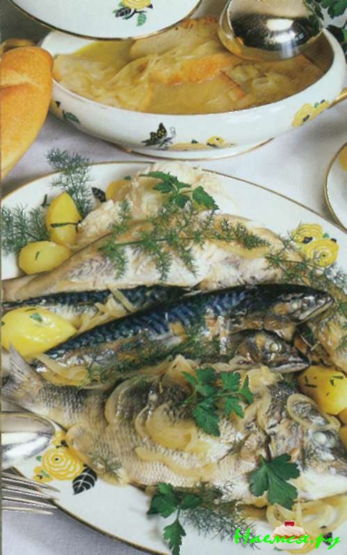 Морская уха