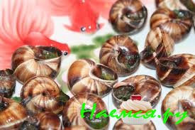 Улитки в горшочке с грибами