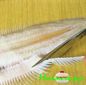 Морской язык, обваленный в муке