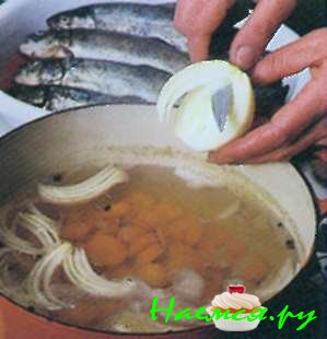 Голубая форель