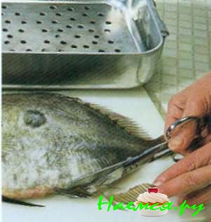 Солнечник, приготовленный на пару (4 порции)