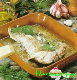 Морской ангел «ножка морского ягненка» с чесноком