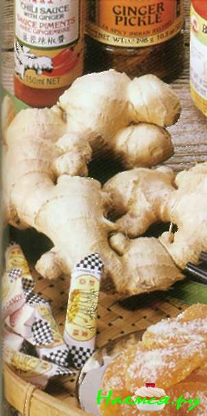 Что делает нашу еду вкуснее. Соусы и специи