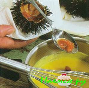 Густая похлебка из морского ежа