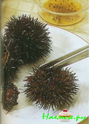 Густая похлебка из морского ежа